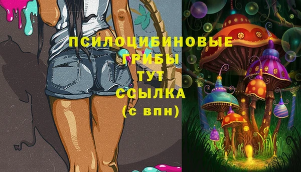 индика Гусь-Хрустальный